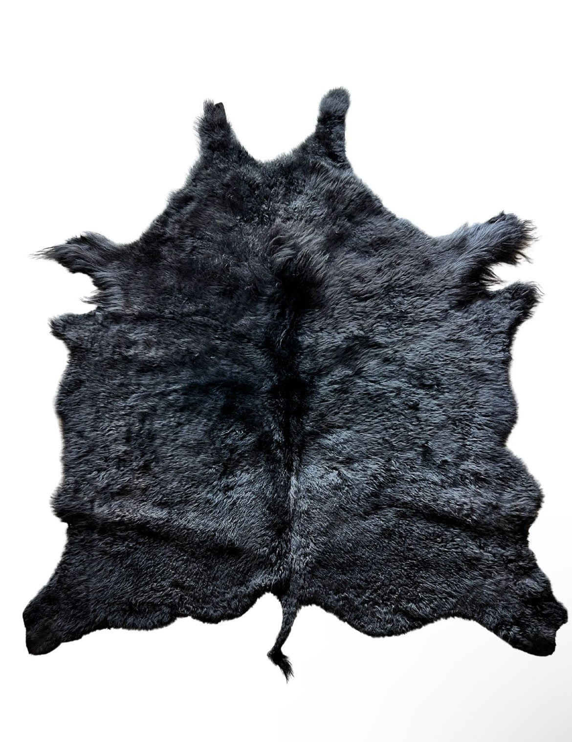 Bison Hide Rug | Black Dyed First-Grade – Large Hair-On