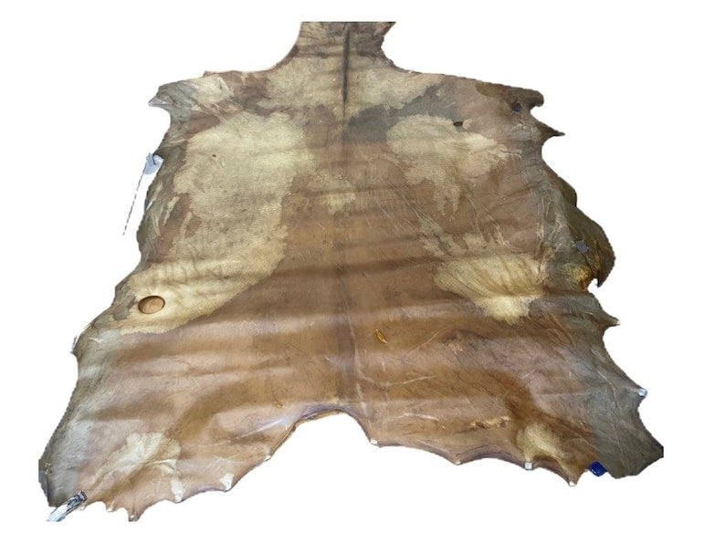 Horse Rawhide | Second Grade Untanned - 6 x 5 ft American