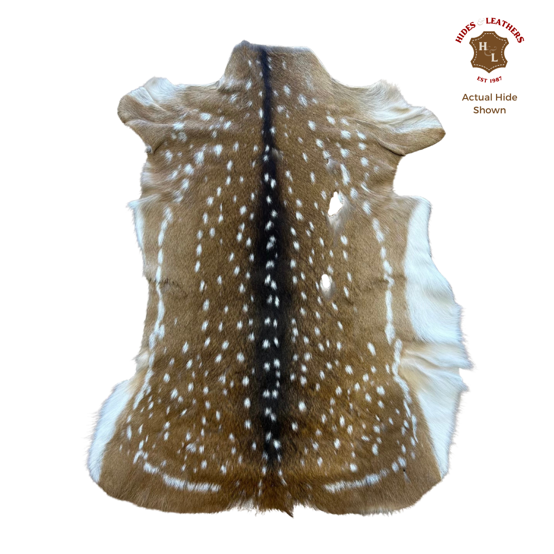 Axis Deer Hide Rug | First Grade – American Hair-On 4’x2.5