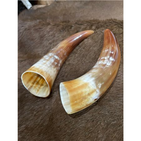 Polished Cow Horn