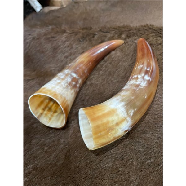 Premium Polished Cow Horn - Decorative Rug/Upholstery