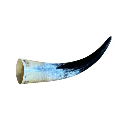 Polished Cow Horn