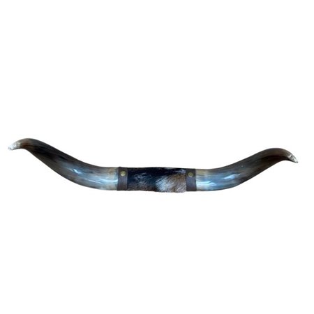 Mounted Polished Cow Horn