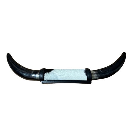 Mounted Polished Cow Horn