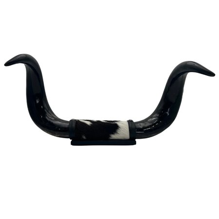 Mounted Polished Cow Horn