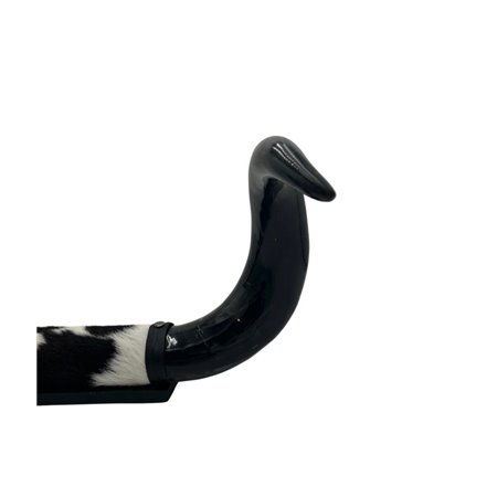 Mounted Polished Cow Horn