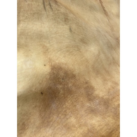 TRAHIDE Premium Bison Rawhide - Second Grade - Ideal for Leather Crafting & Drum Heads