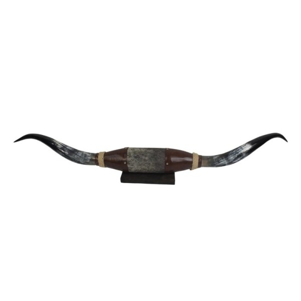 Cow Horn Decorative Accent - Mounted Polished 5Ft Rustic Premium Quality