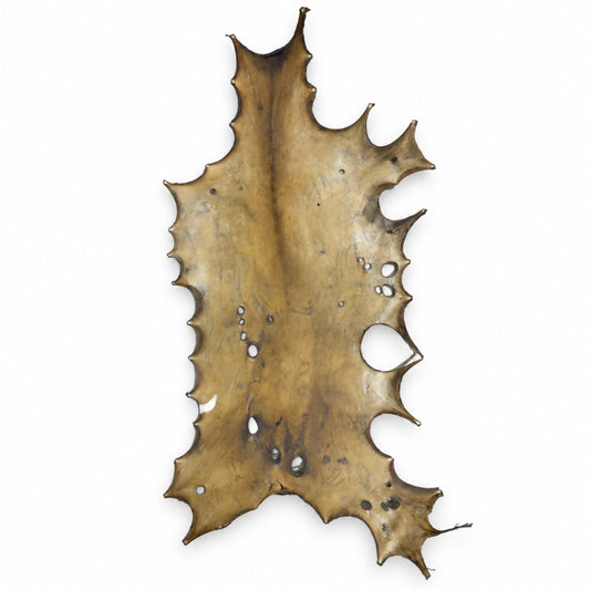 Elk Rawhide | Natural Drum Making Hide – Colombian, Approximately 6 lb — front view on white background
