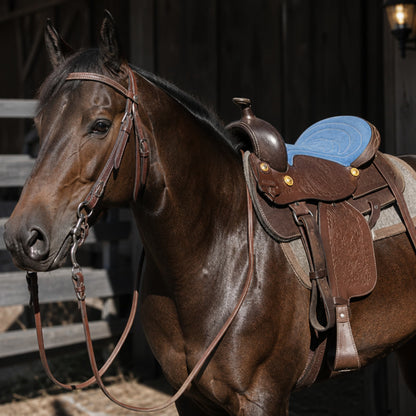 Leather Youth Western Saddle | 12" Blue Seat – Tooled with Gold Conchos