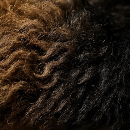 Genuine Hair-on Bison Pillow Cover | Natural Curly Texture – 20"×12"