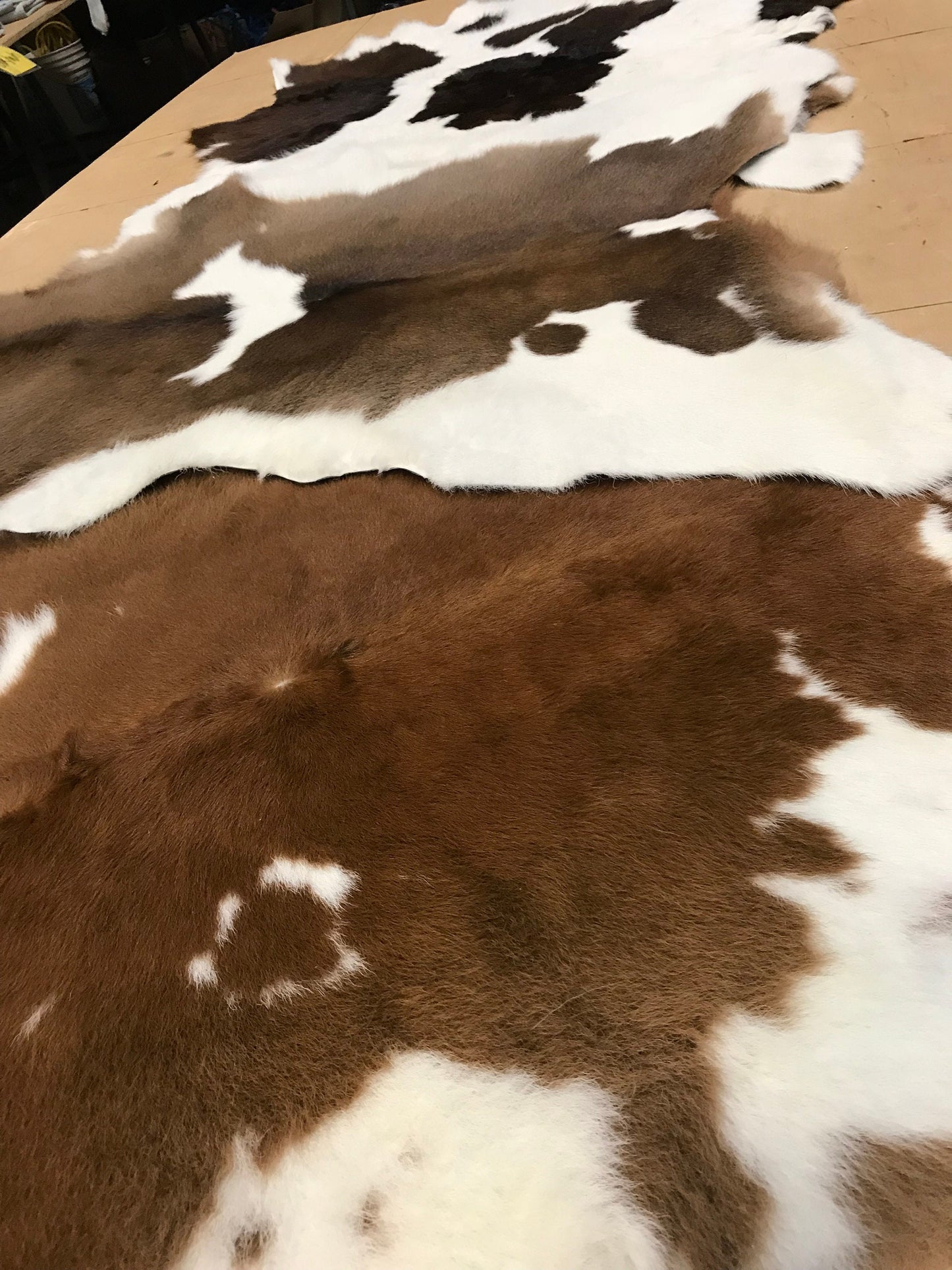 Calf Hair On Hide Bi-Color