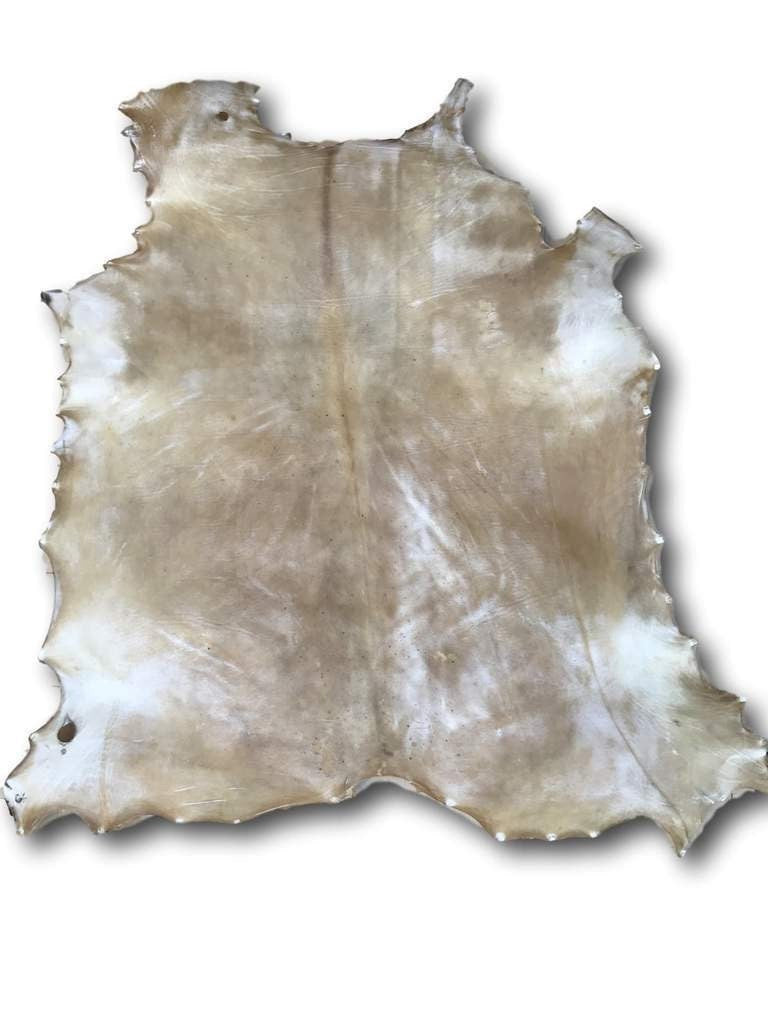 Cow (Yearling) Rawhide Light (Whole Hide)