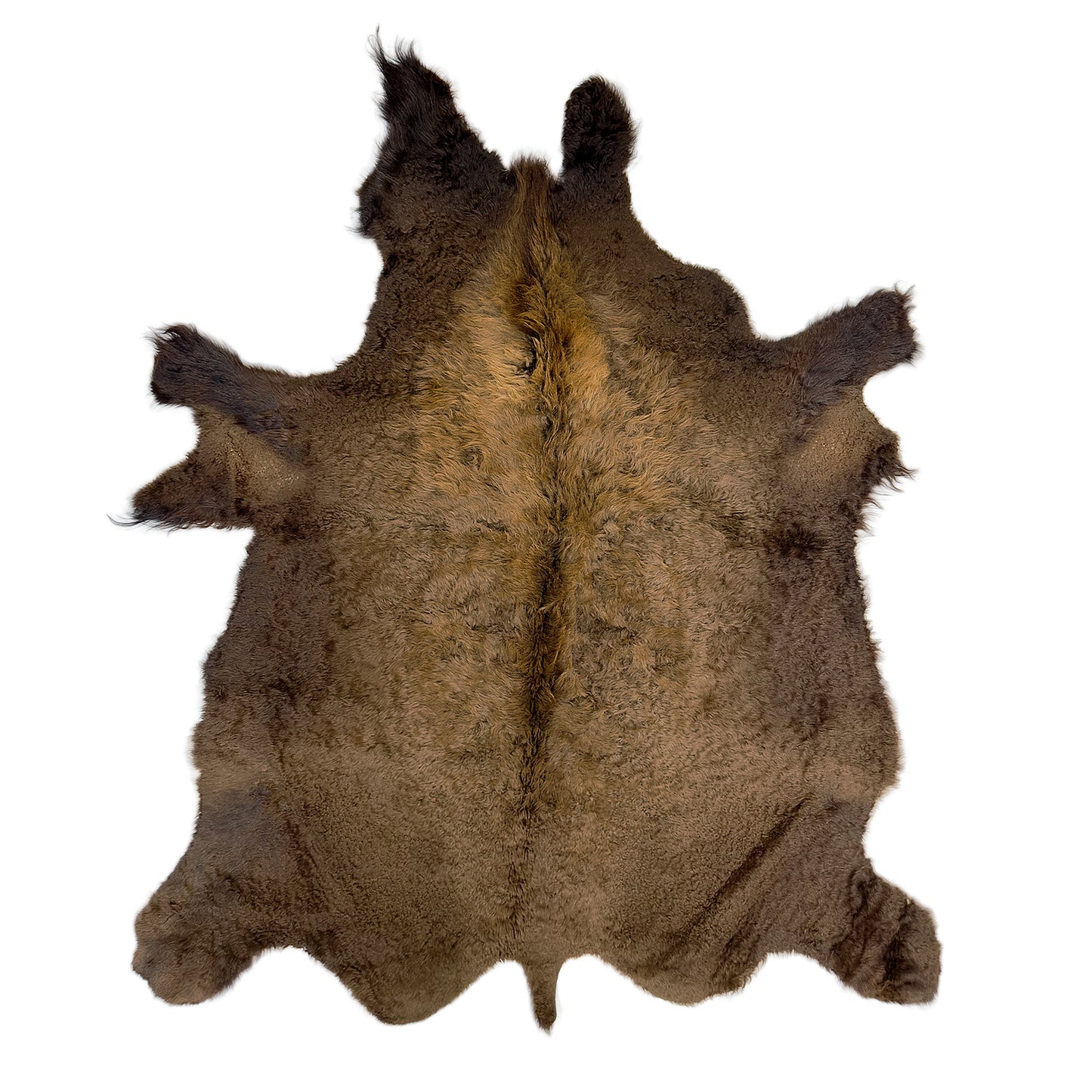 Premium Natural Bison Hair-On Hide Rug - First Grade American