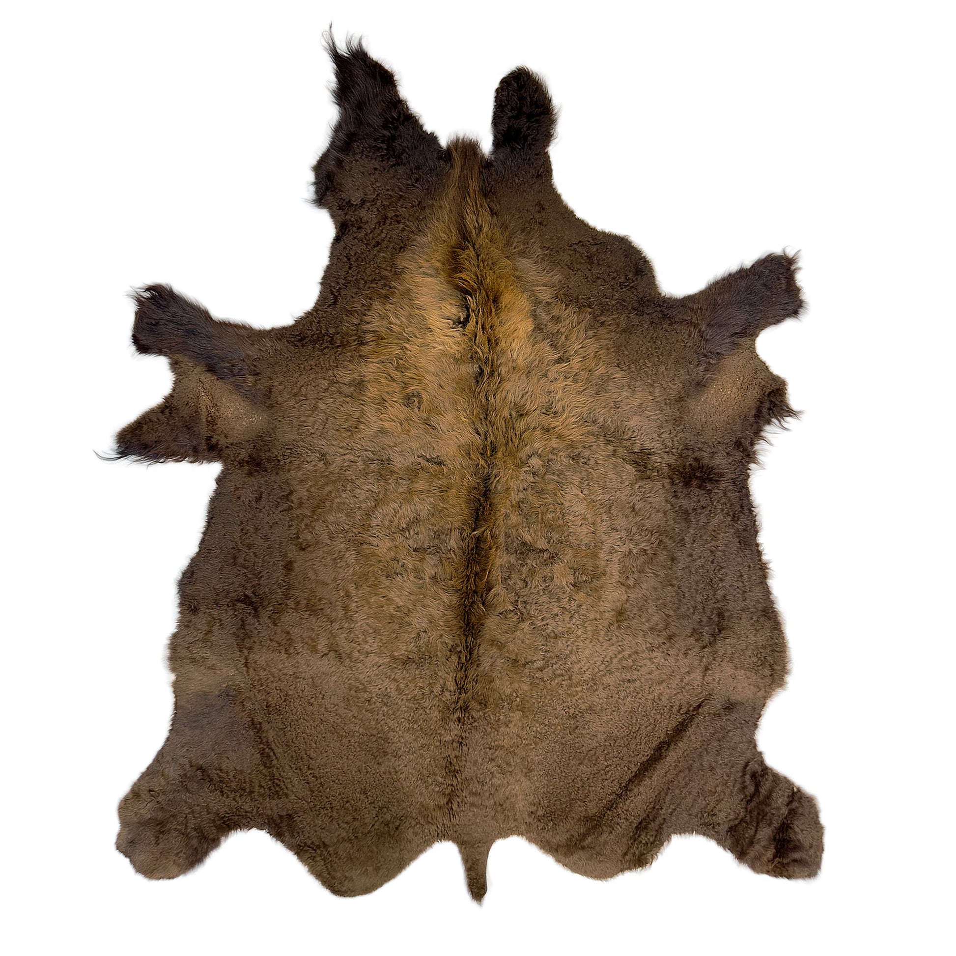 Premium Natural Bison Hair-On Hide Rug - First Grade American