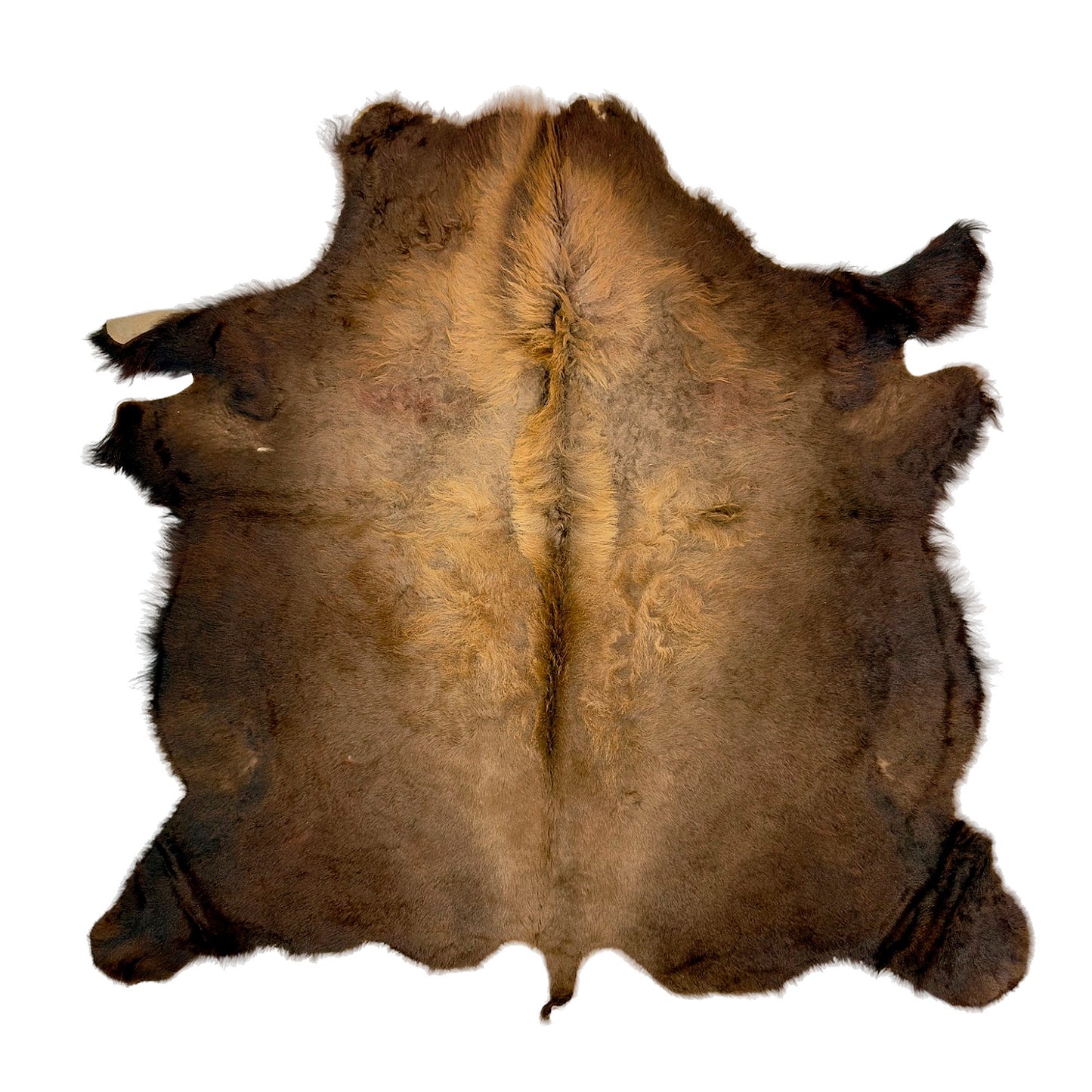 Bison/Buffalo Hair-On Good Second Grade Hide Large