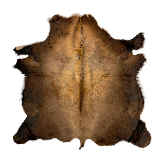 Bison/Buffalo Hair-On Good Second Grade Hide Large