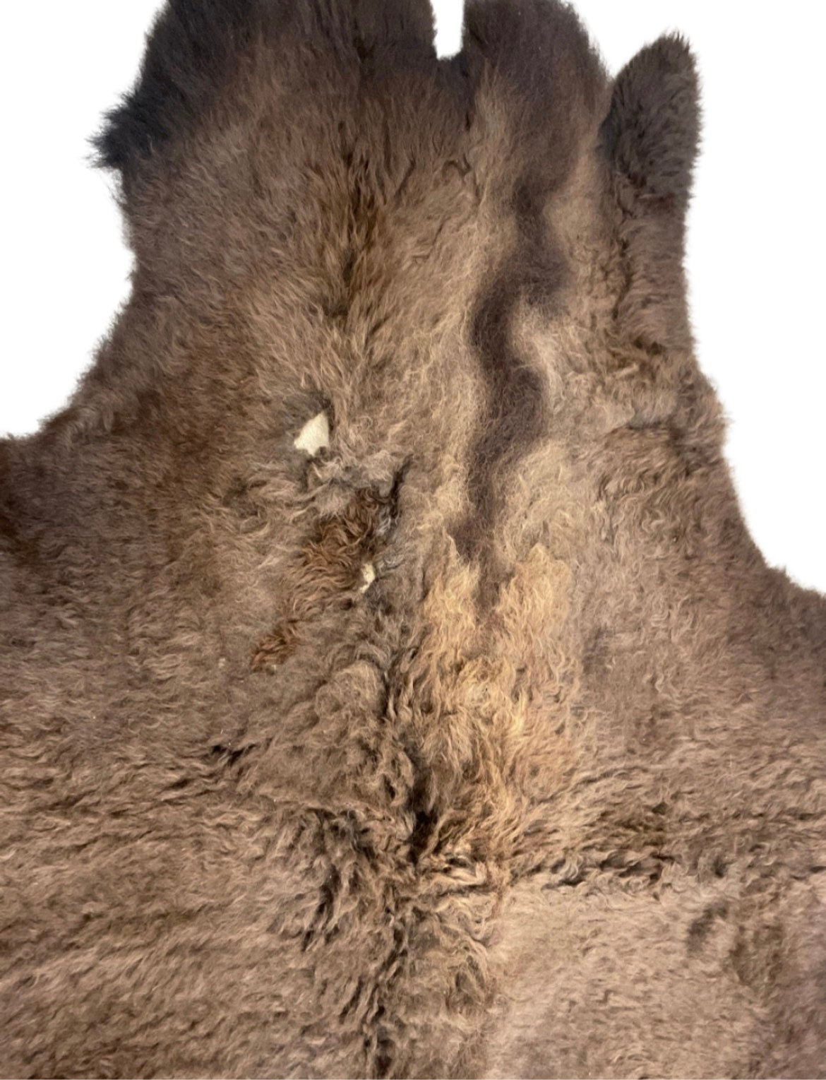 Bison/Buffalo Hair-On Good Second Grade Hide Large