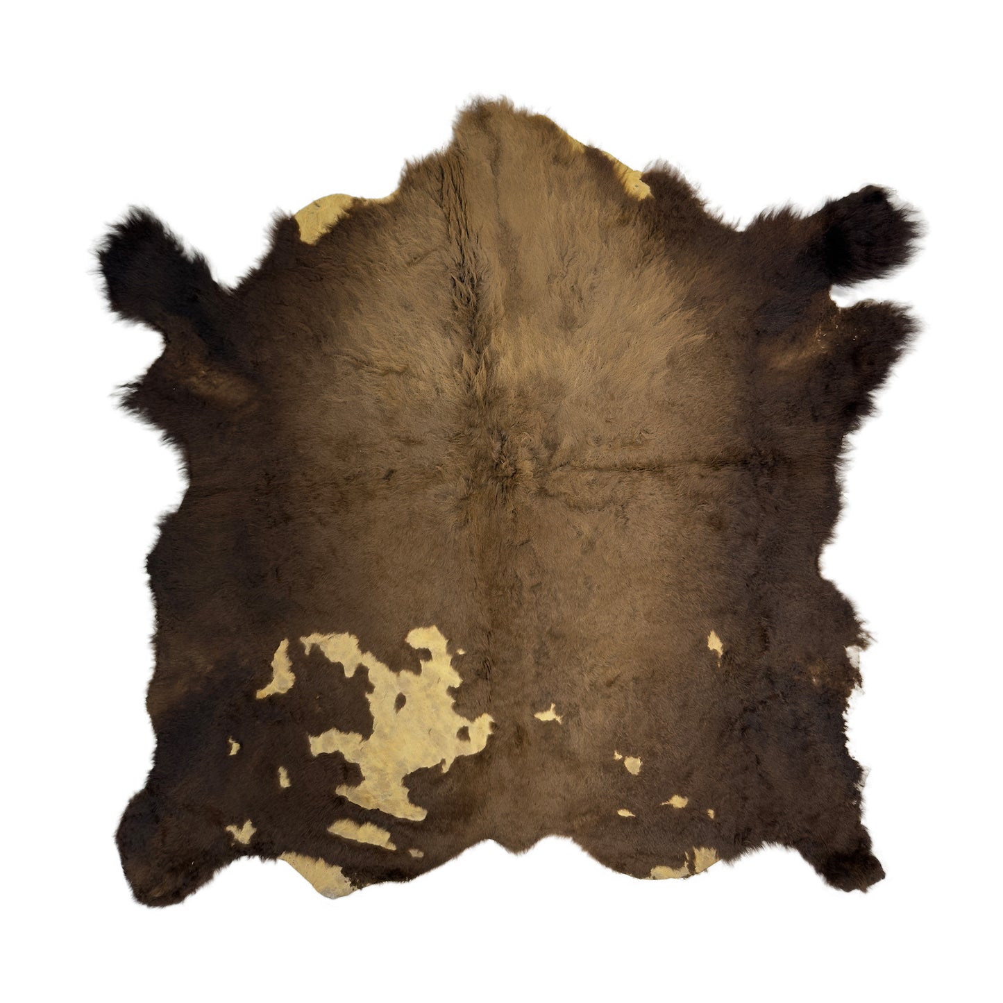 Bison/Buffalo Third Grade Large Hair-On Hide