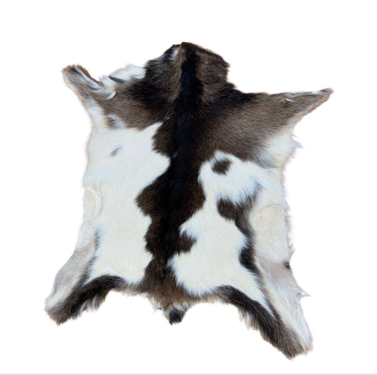 Kid Goat Skins - Soft & Durable Decorative Hide
