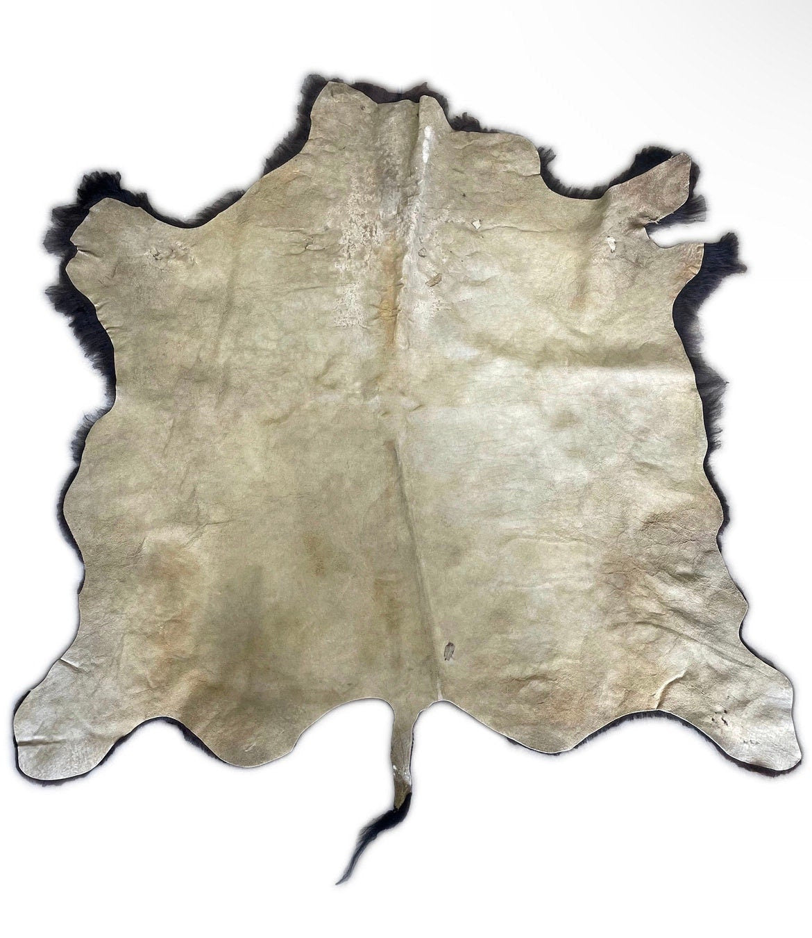 Bison/Buffalo Third Grade Large Hair-On Hide