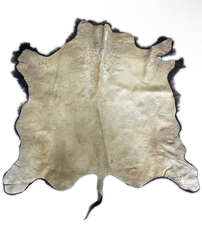 Bison/Buffalo Third Grade Large Hair-On Hide