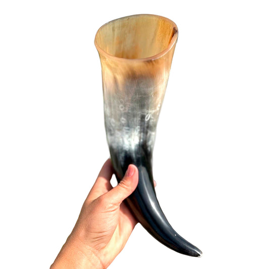 Polished Cow Drinking Horn - Authentic & Handcrafted