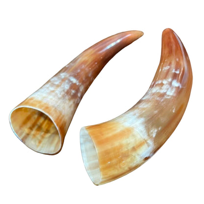 Polished Cow Drinking Horn - Authentic & Handcrafted