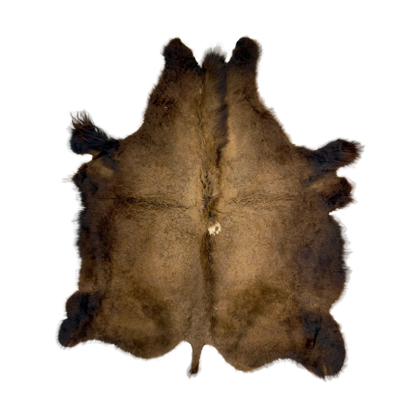 Bison Hide Rug | Good Second-Grade – Large Hair-On