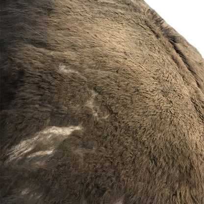 Bison Hide Rug | Good Second-Grade – Large Hair-On