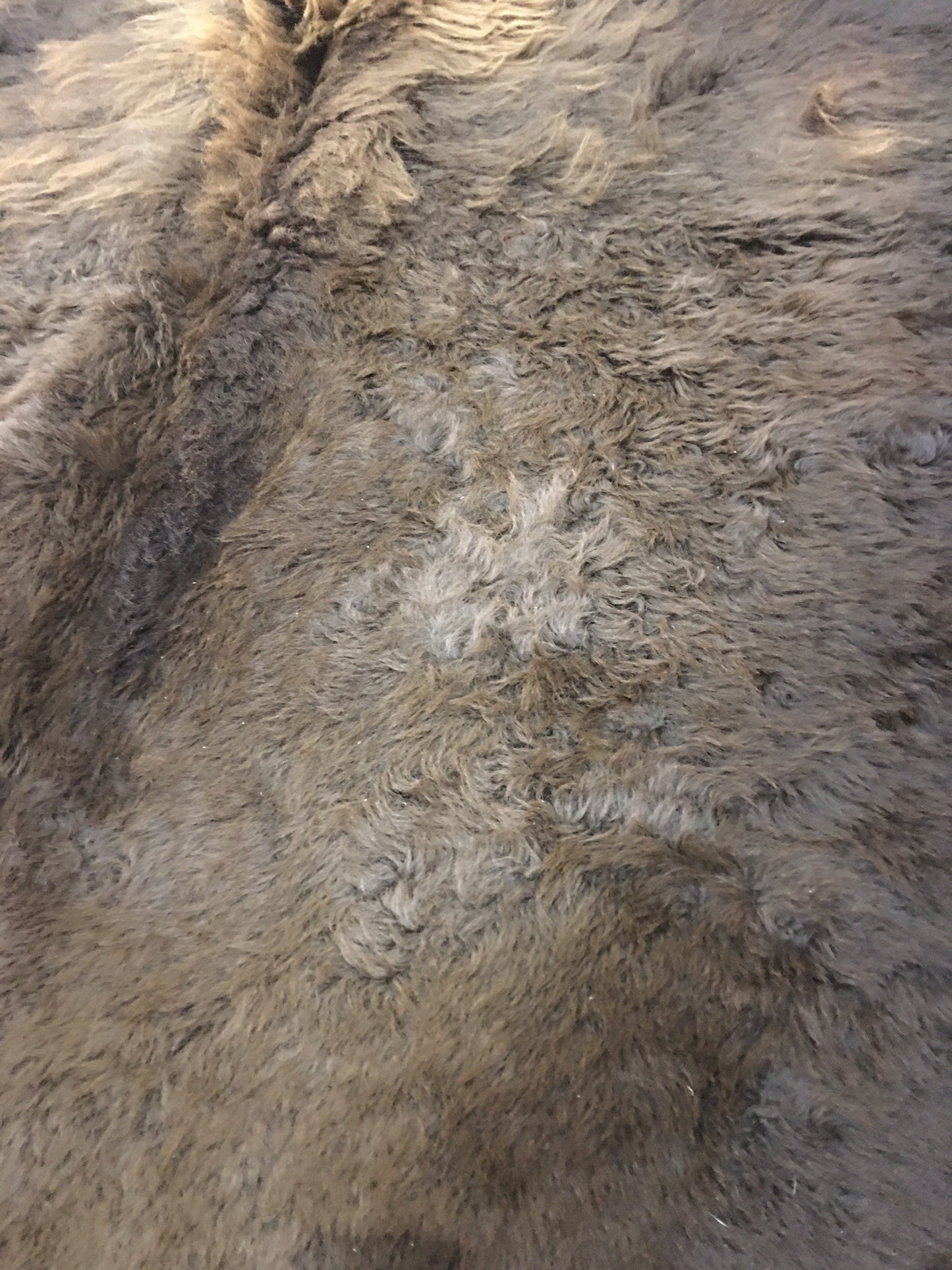 Bison/Buffalo Hair-On Second Grade Hide Large