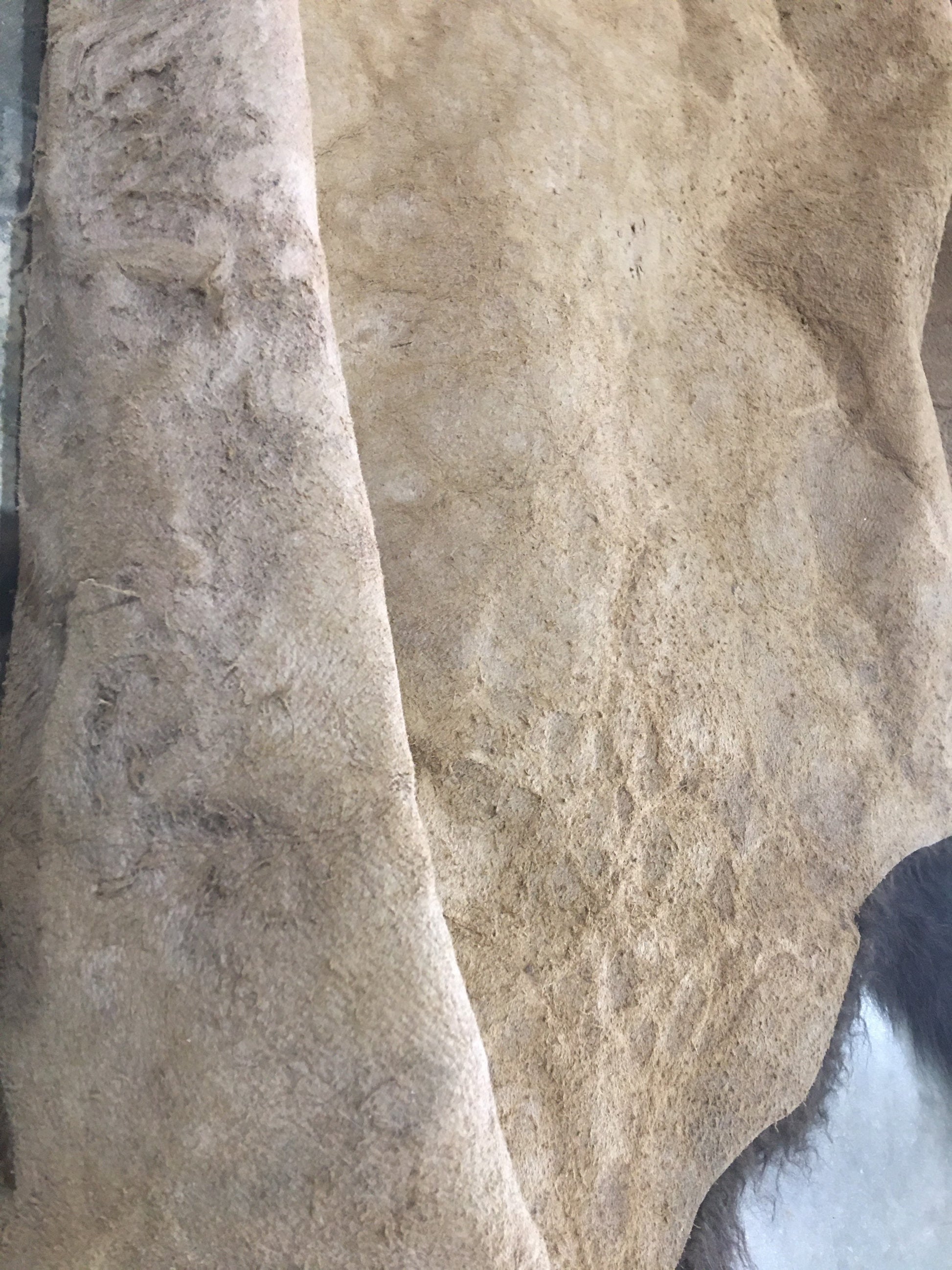 Bison/Buffalo Hair-On Second Grade Hide Large