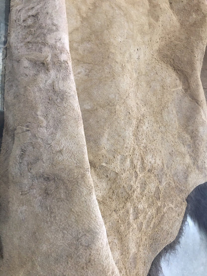 Bison/Buffalo Hair-On Second Grade Hide Large