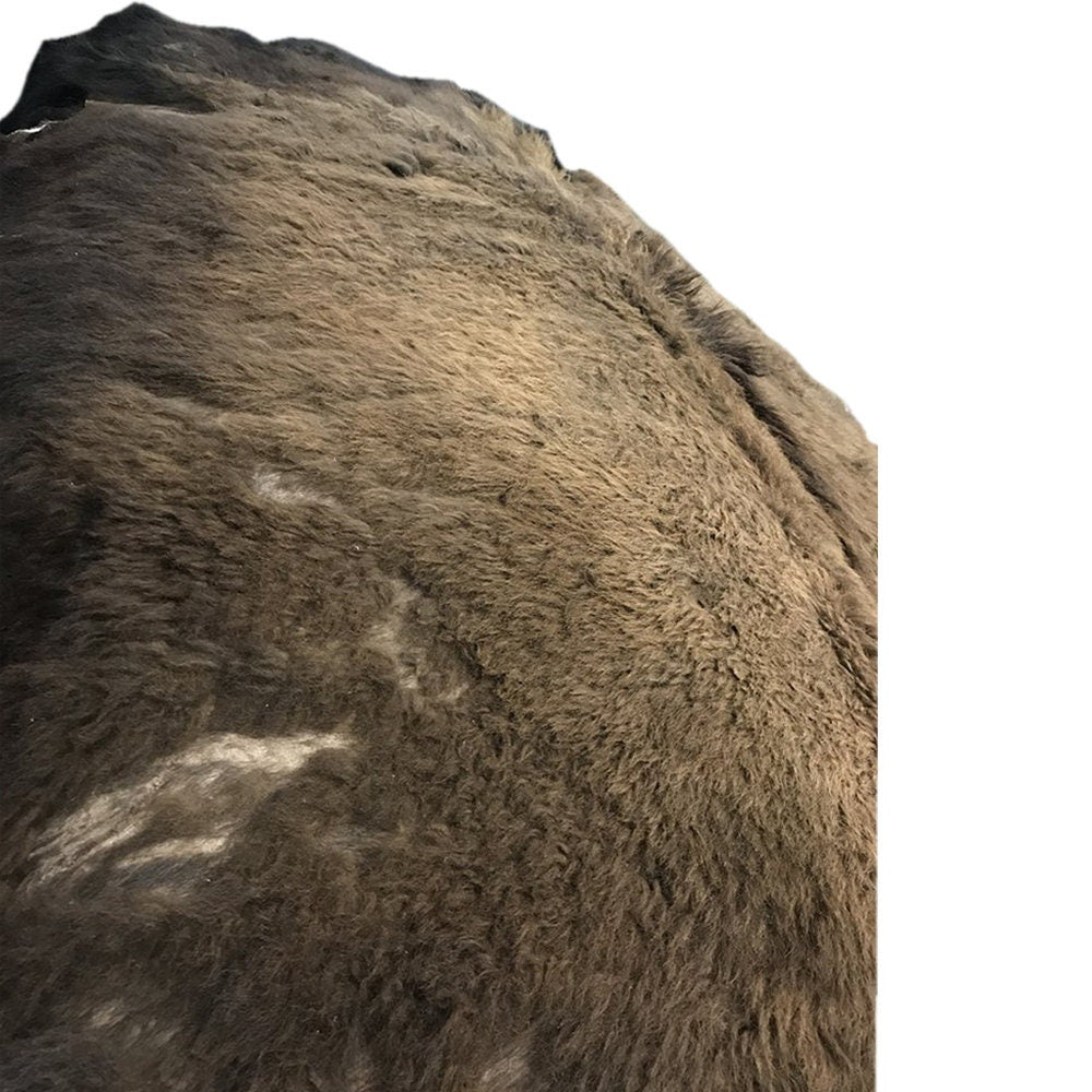 Bison Hide Rug - Hair-On Rustic Decor - Large Second Grade - Ethically Sourced