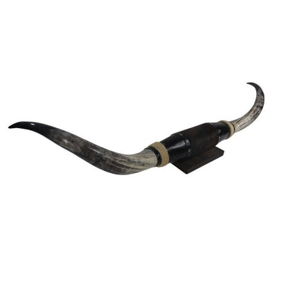 Cow Horn Decorative Accent - Mounted Polished 5Ft Rustic Premium Quality