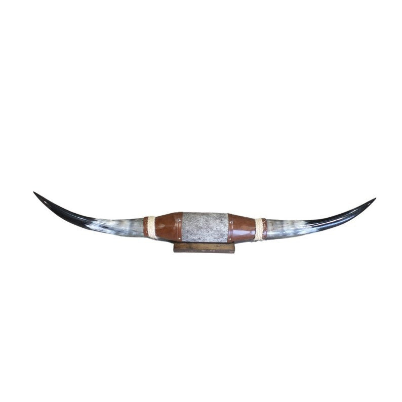 Cow Horn Decorative Accent - Mounted Polished 5Ft Rustic Premium Quality