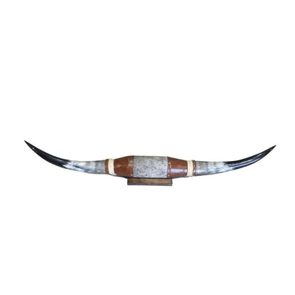 Cow Horn Decorative Accent - Mounted Polished 5Ft Rustic Premium Quality