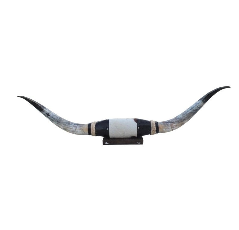 Cow Horn Decorative Accent - Mounted Polished 5Ft Rustic Premium Quality