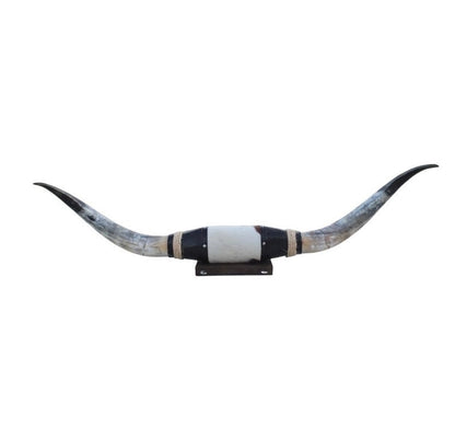 Cow Horn Decorative Accent - Mounted Polished 5Ft Rustic Premium Quality