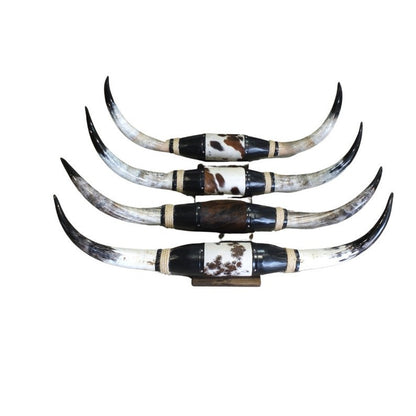 Cow Horn Decorative Accent - Mounted Polished 5Ft Rustic Premium Quality