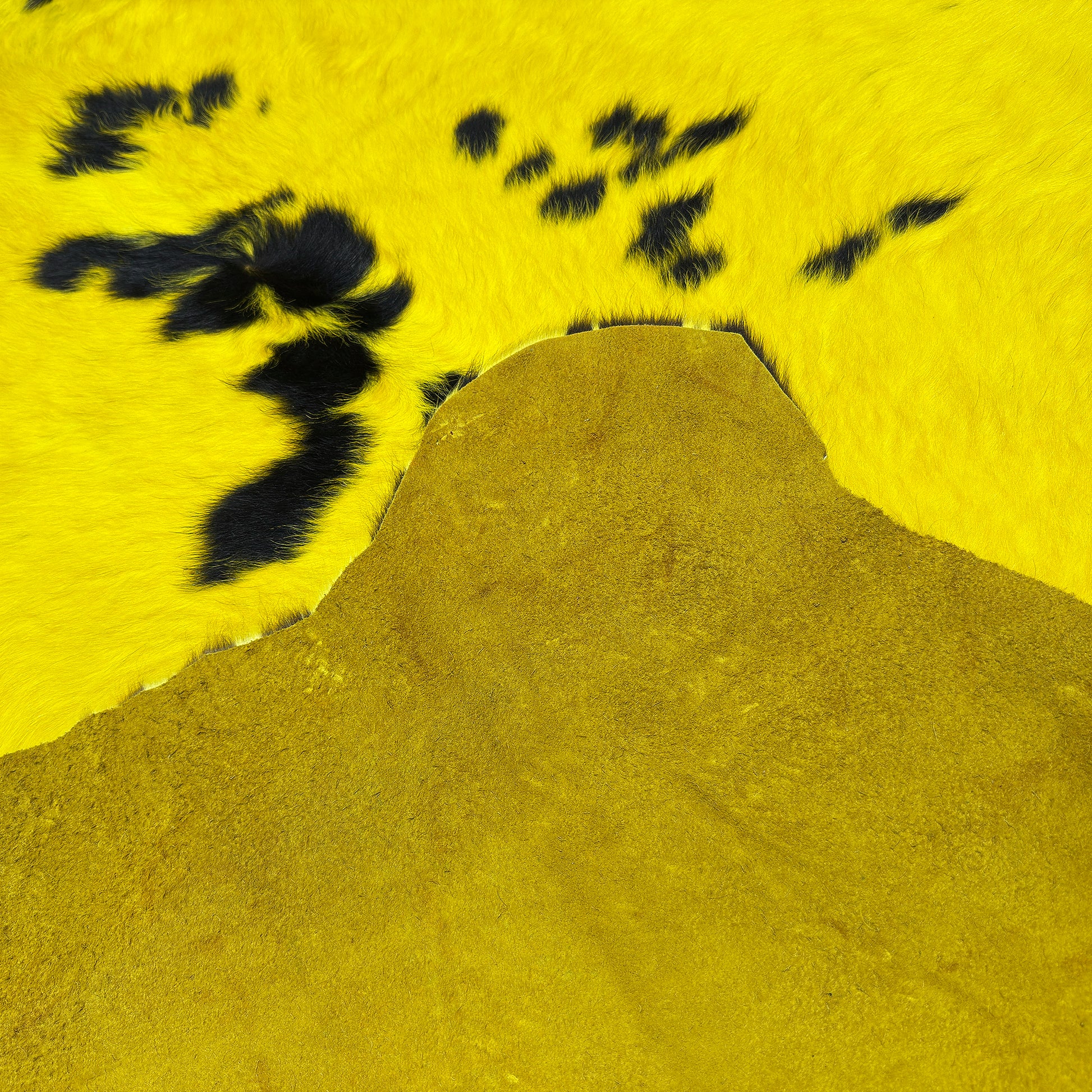 Premium Dyed Hair-On Cowhide Rug Yellow - Natural Pattern First Grade