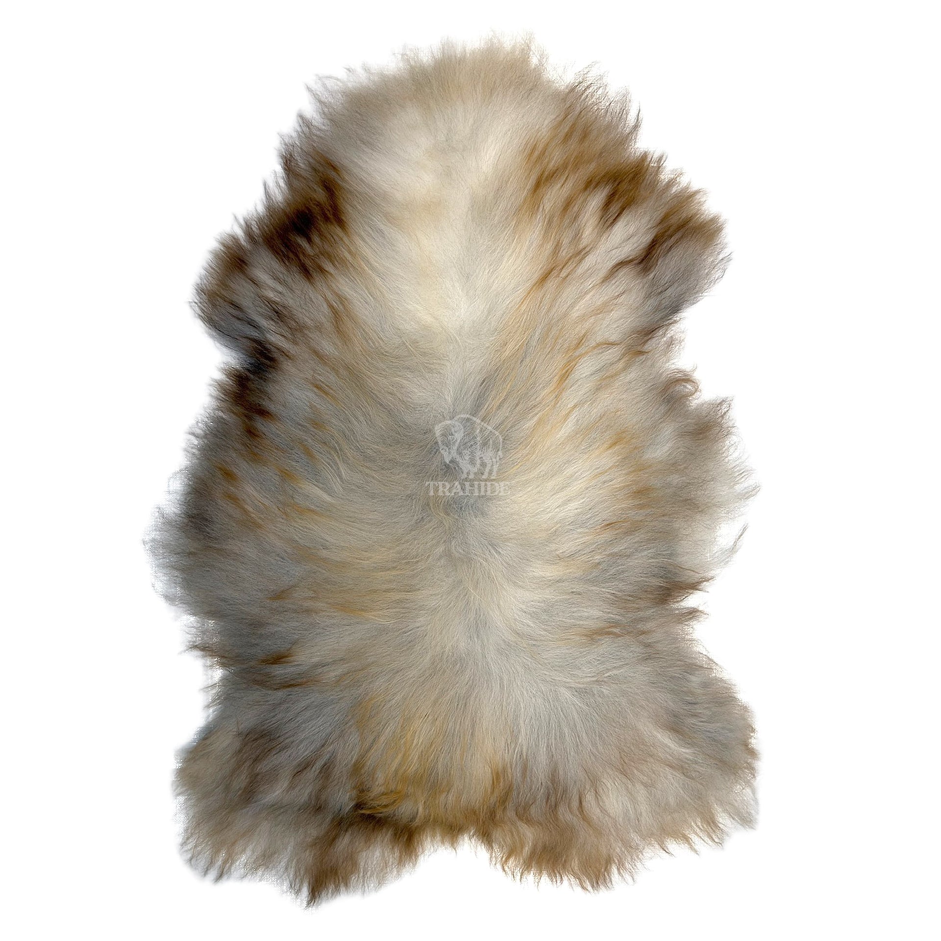 Luxury Norwegian Viking Heritage Sheepskin - Golden Flecked Beige Long-Hair