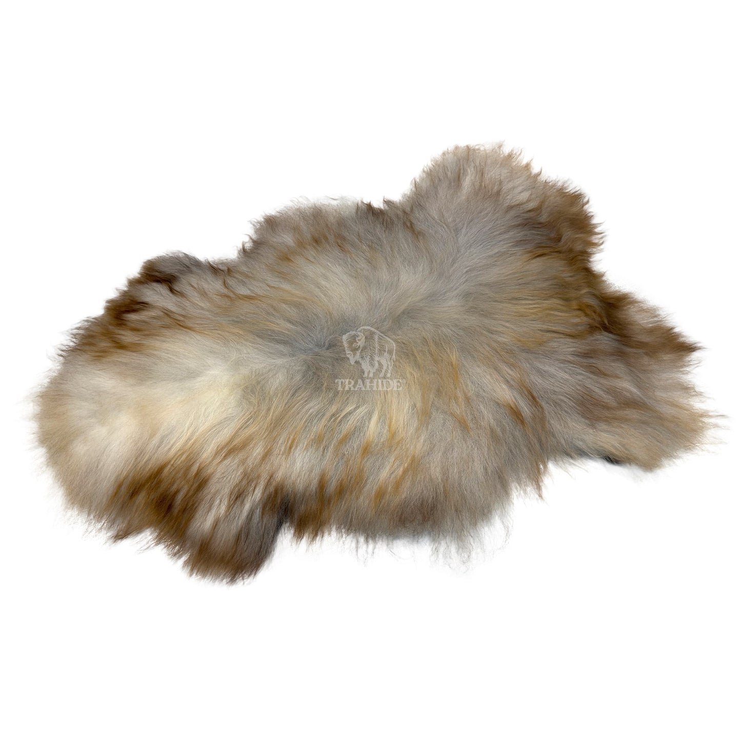 Luxury Norwegian Viking Heritage Sheepskin - Golden Flecked Beige Long-Hair