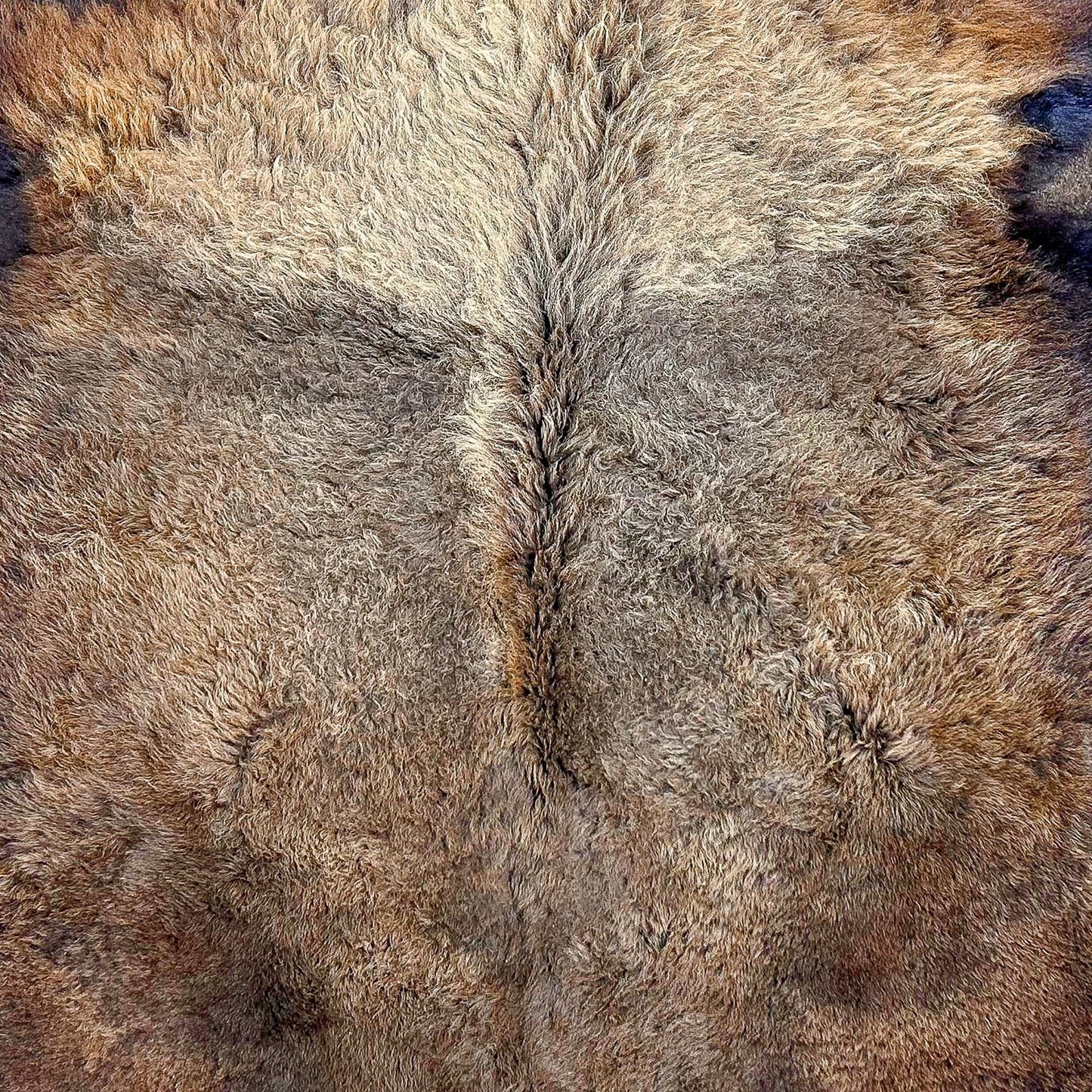 Premium Natural Bison Hair-On Hide Rug - First Grade American