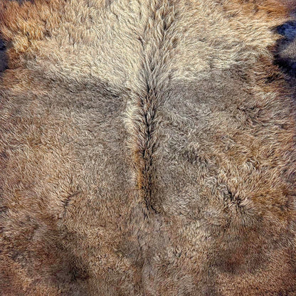 Premium Natural Bison Hair-On Hide Rug - First Grade American