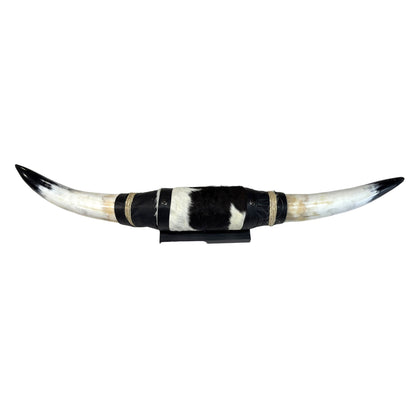 Mounted Polished Cow Horn 3ft - Rustic Elegance & Western Charm