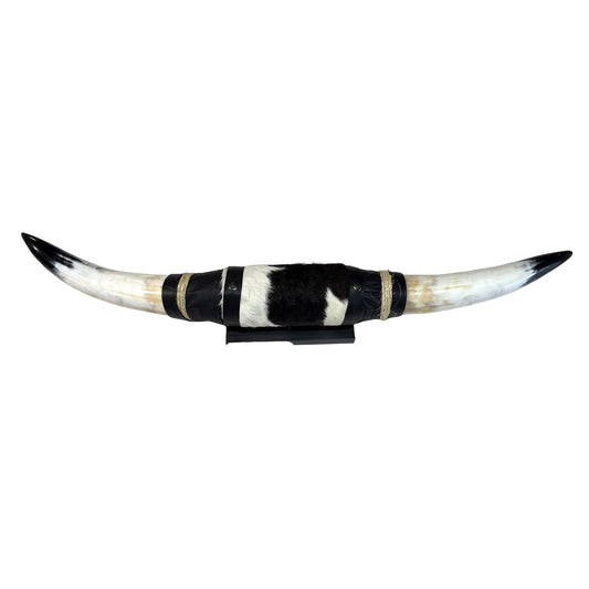 Mounted Polished Cow Horn 3ft - Rustic Elegance & Western Charm