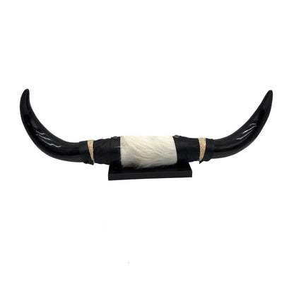 Mounted Polished Cow Horn 3ft - Rustic Elegance & Western Charm