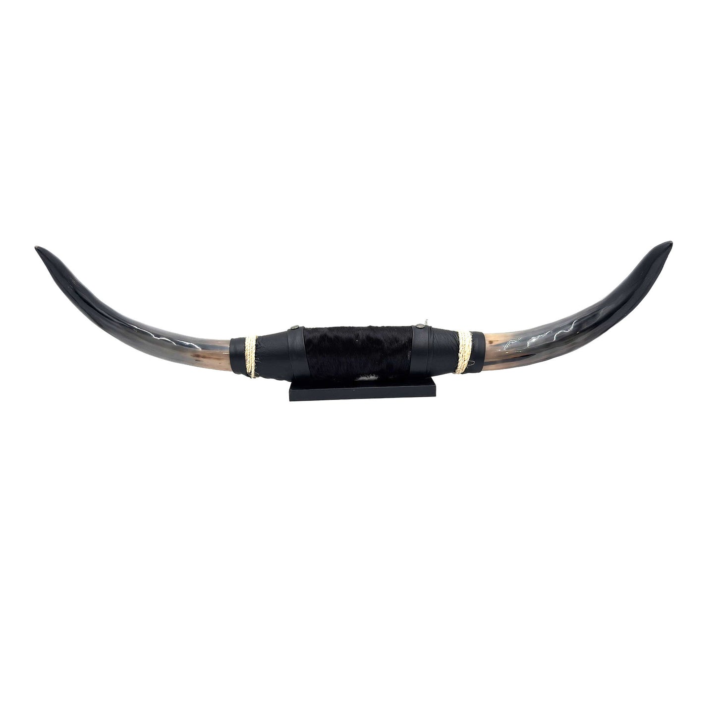 Mounted Polished Cow Horn 3ft - Rustic Elegance & Western Charm