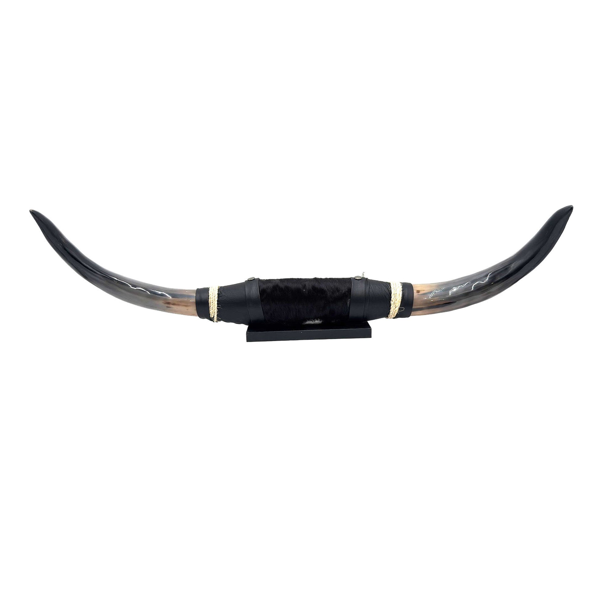 Mounted Polished Cow Horn 3ft - Rustic Elegance & Western Charm